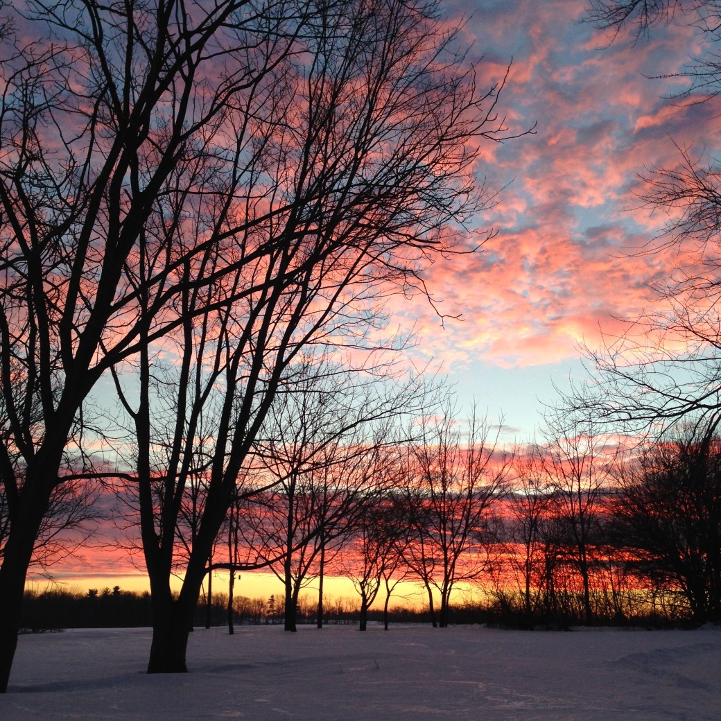 unfiltered winter morning